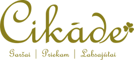 Cikāde